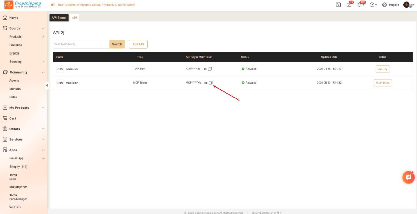 Copy the MCP Token value